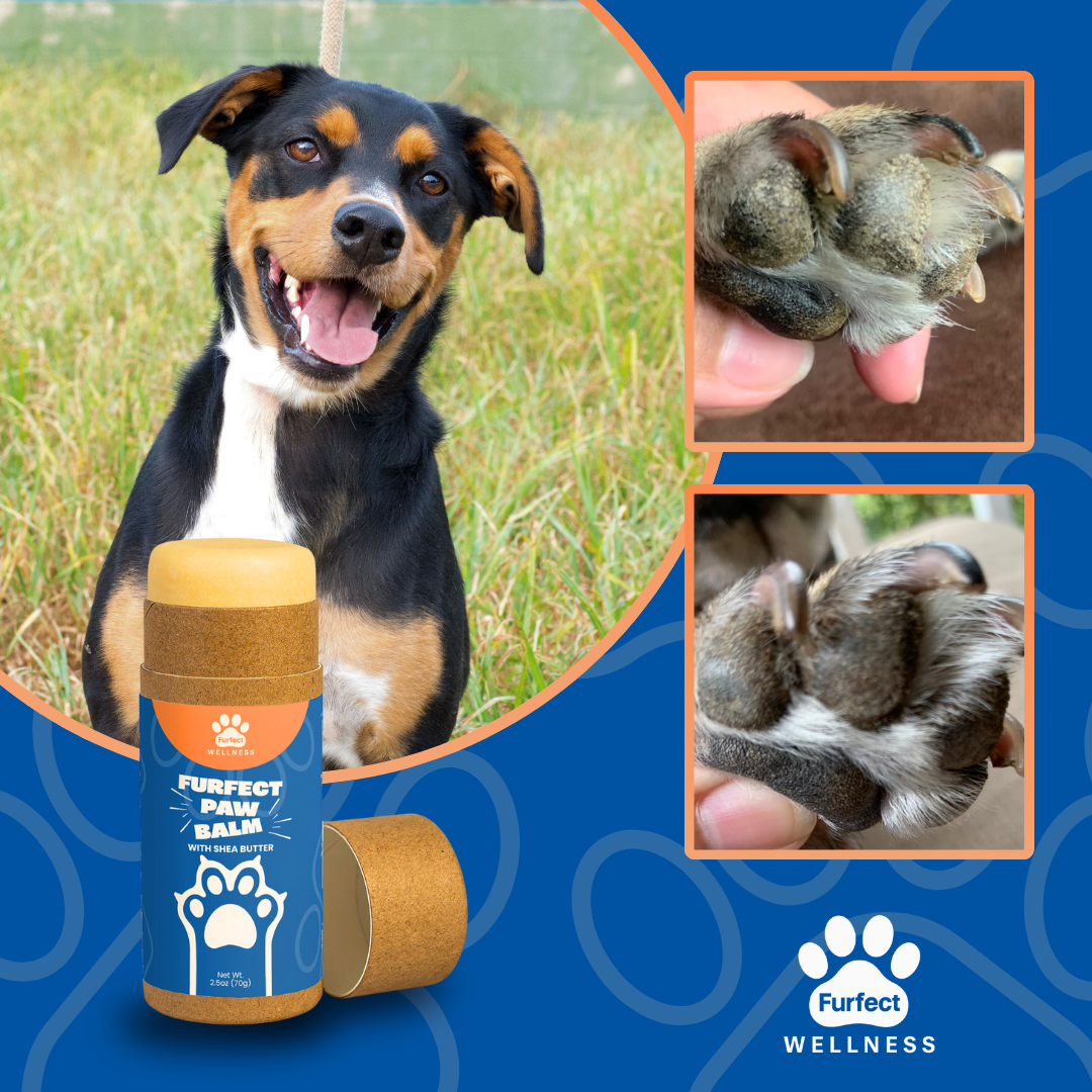 Furfect Paw Balm