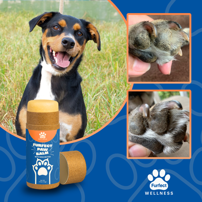 Furfect Paw Balm