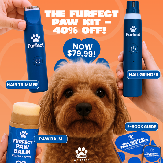Furfect Paw Kit
